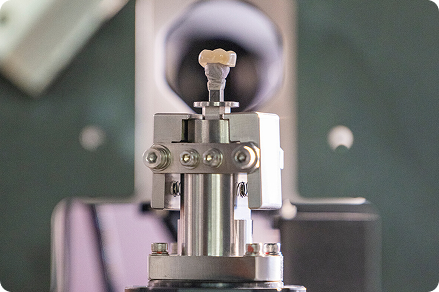 Anteprima prima corona gratuita